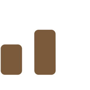 level 2