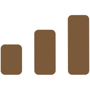 level 3